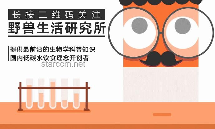 【P1-P9】现代社会男性健康状态多维度对比分析：虚不虚，事实说话